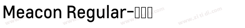 Meacon Regular字体转换